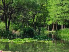 -洛阳市隋唐城遗址植物园