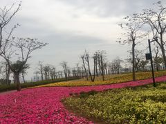 -芒洲湿地公园