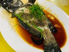 -双月饭店·20年老字号(新村店)