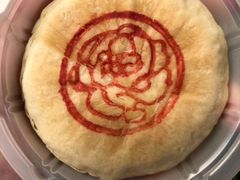 -蒲公英(五里店)