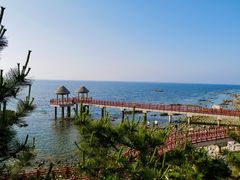 -养马岛旅游度假区