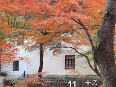 -狼山风景名胜区