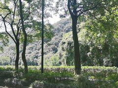 -随意茶庄·地道杭帮农家菜(梅家坞店)