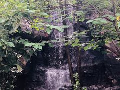 -天目湖山水园