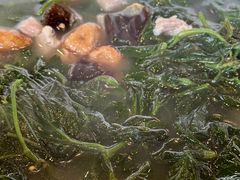 -顺德了能馆(虎门店)