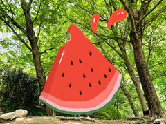 -秦岭终南山世界地质公园翠华山景区