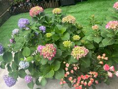 -双季花艺园艺市场(浦东店)