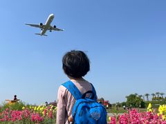 -空港花田景区