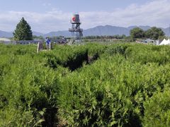 -亲兄弟真人CS团建拓展基地