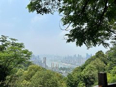-南山植物园