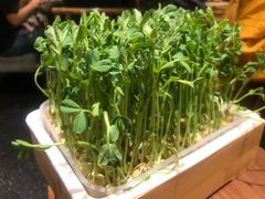 豆苗-捞王锅物料理(上海世茂广场店)