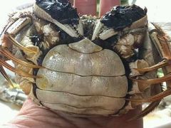 -喜洋洋蟹庄(阳澄湖店)