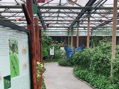 -南宫五洲植物乐园