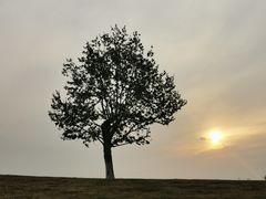 -钟山体育运动公园