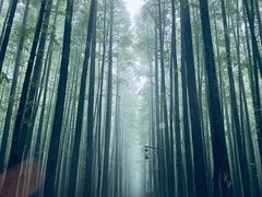 -山王坪喀斯特国家生态公园