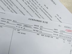 -北京观赏动物医院·24小时大型综合·猫专科·异宠专科