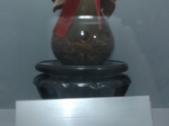 -上海昆虫博物馆