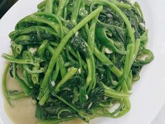 椒丝腐乳通菜-贞姨美食·老字号海鲜大排档