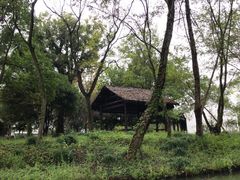 -摇橹船上船码头