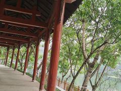 -重庆彩云湖湿地公园