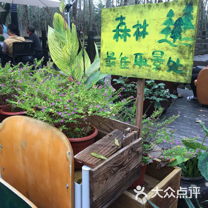呼吸森林-图片-苏州美食-大众点评网