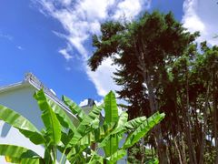-南诏风情岛