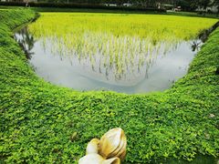-蔡家宅
