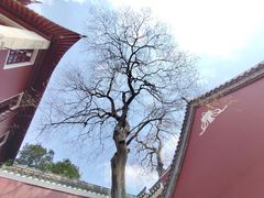 -长春观
