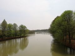 -上海海湾国家森林公园