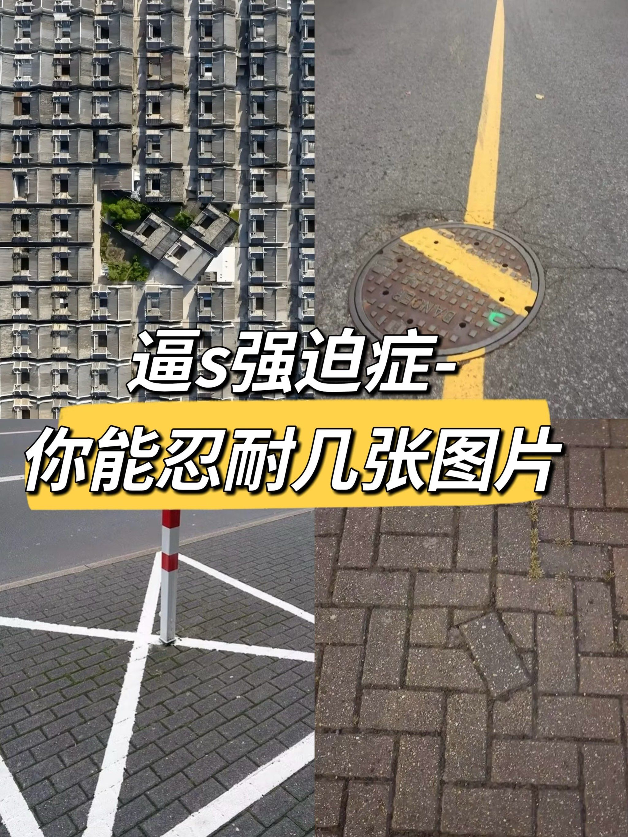 逼s强迫症