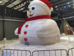 -宁波冰雪大世界(北仑区)