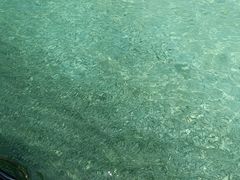 -东姑阿都拉曼海洋公园