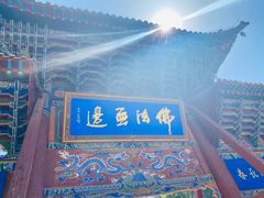 -张掖大佛寺景区