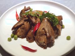 -鸭王烤鸭店(三里河店)