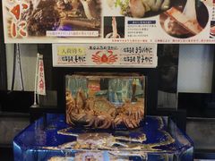 -蟹道乐(道顿堀本店)