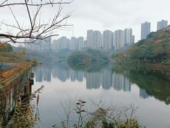 -重庆彩云湖湿地公园