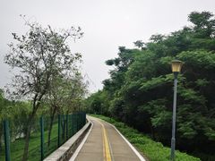 -广东花都湖国家湿地公园