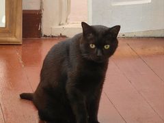 -春风十里咖啡馆