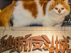 -逃脱反斗城沉浸剧情密室(北京路店)