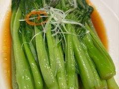 -海派美食·家宴海鲜青岛菜·石锅鲽鱼头(东方城店)
