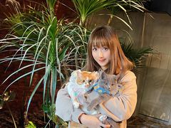 -J Create城市露营咖啡·简餐·宠物(上海动物园店)