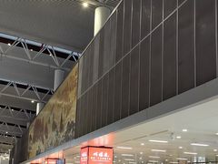 -合肥新桥国际机场-航站楼