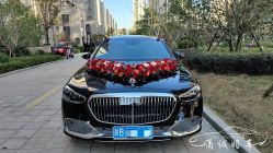 -宁波甬诚婚车(新典路店)