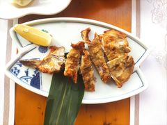 -天正河鲀·河豚亭(大连店)