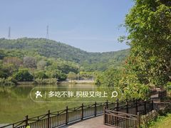 -梧桐庄园