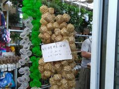 -万商花鸟市场
