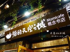 -猫的天空之城概念书店(杭州南宋御街店)