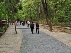 -灵岩山风景区