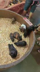 -Zoolung Zoolung动物主题公园(海信广场店)