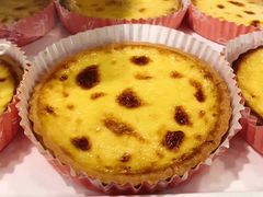 芝士塔-GAONNURI加温努力(马场店)